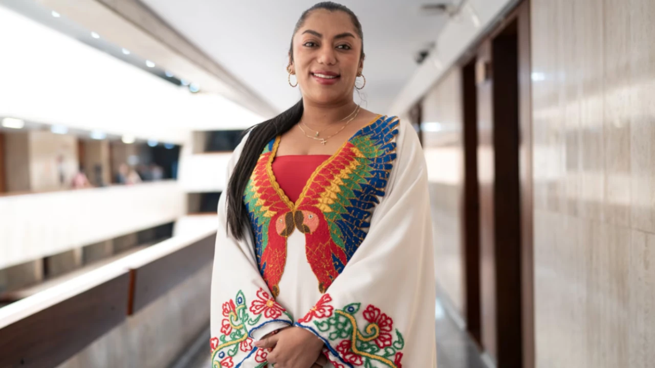 Marta-Peralta-corte suprema-investigacion