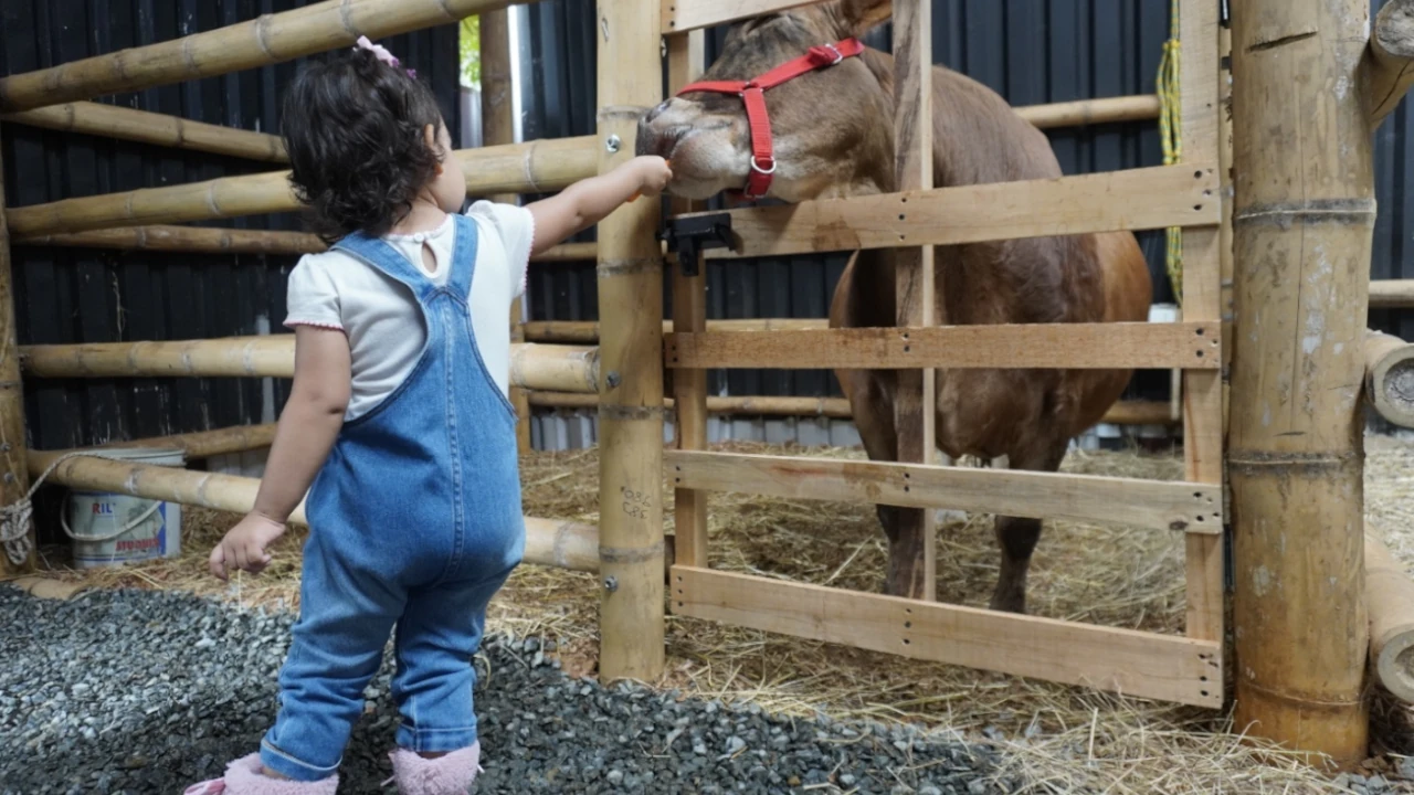 ¡Para los más chiquis! El viernes 25 de abril, el Parque Norte y el Aeroparque Juan Pablo II contarán con entrada libre 1 Parques 2