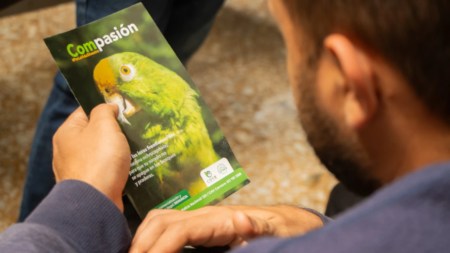 fauna-y-flora-animales-campaña-