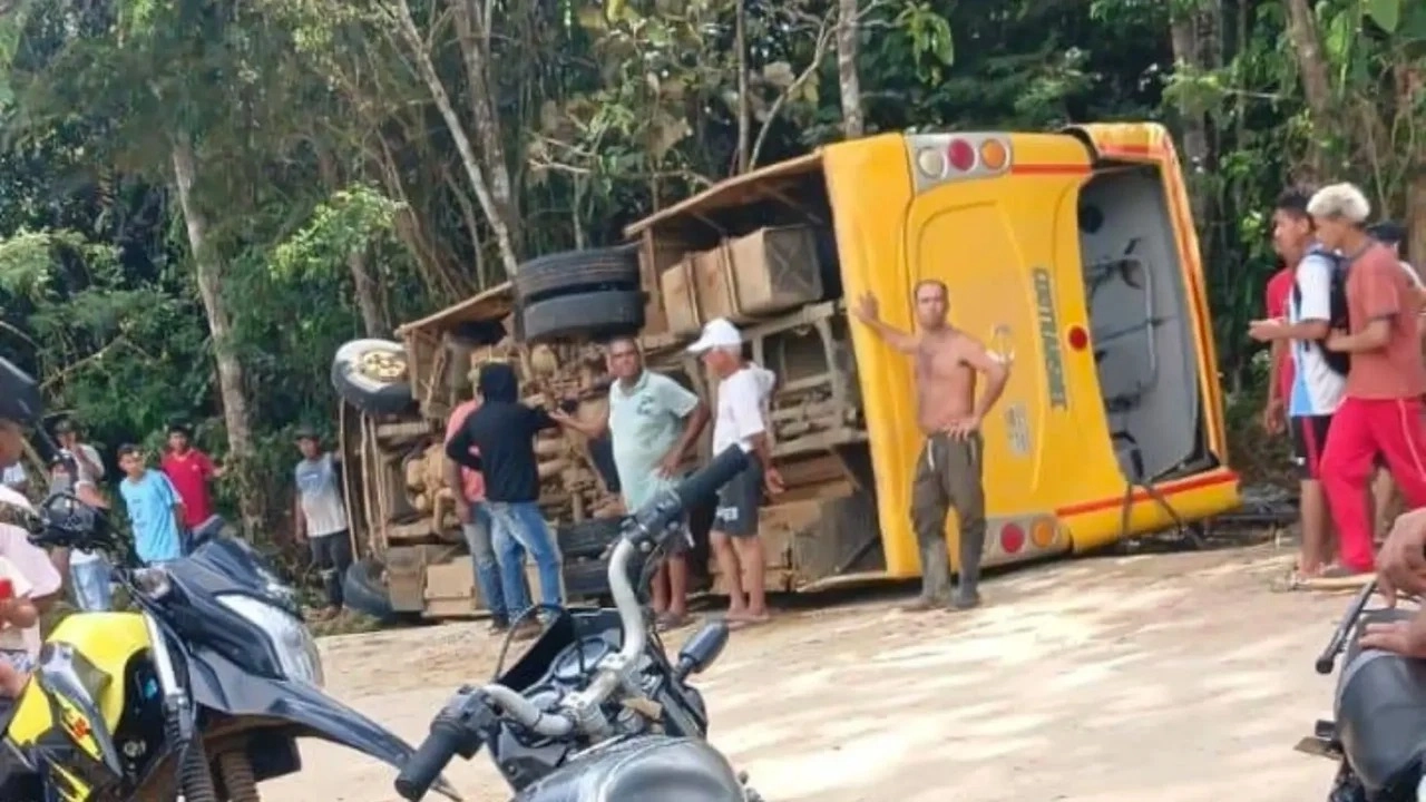 bus necocli