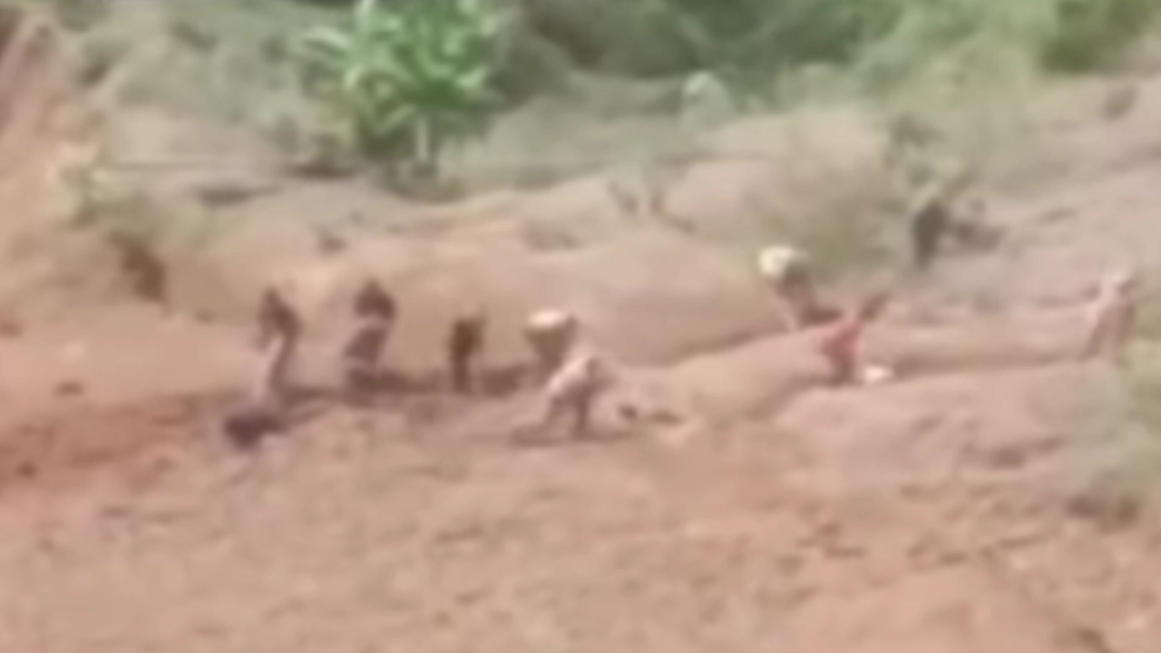 ¡Qué angustia! Un hombre está desaparecido tras deslizamiento de tierra en Ciudad Bolívar busqueda-hombre-desaparecido-ciudad-bolívar-antioquia