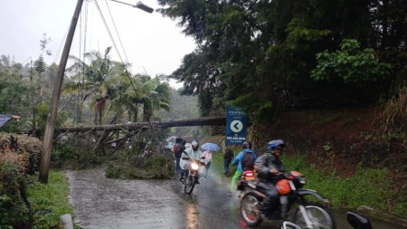 caída-árbol-Tablazo-via-rionegro