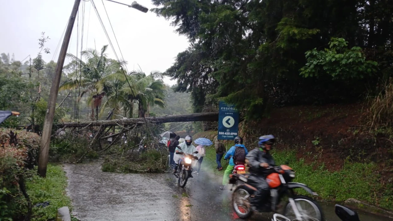 caída-árbol-Tablazo-via-rionegro