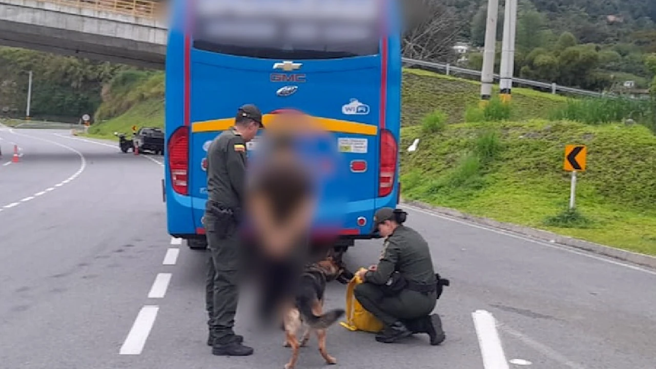 En Santa Bárbara, el canino “Rouse” le dañó el viaje a un hombre al detectarle droga y un arma en su equipaje 2 canino-policia-hallo-droga-armas-equipaje-pasajero-santabarbara