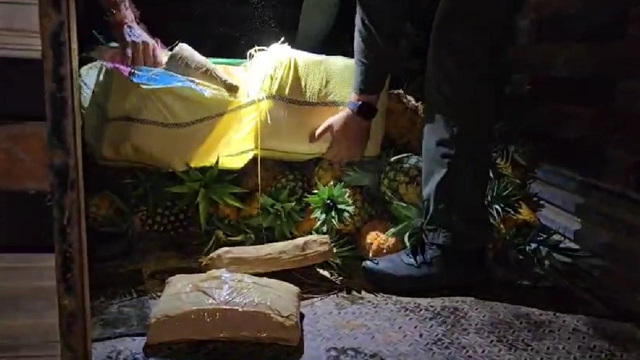 cargamento-marihuana-escondido-carga-piña-lapintada-antioquia