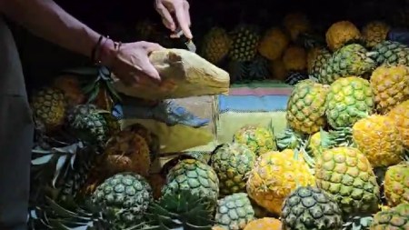 cargamento-marihuana-escondido-carga-piña-lapintada-antioquia1