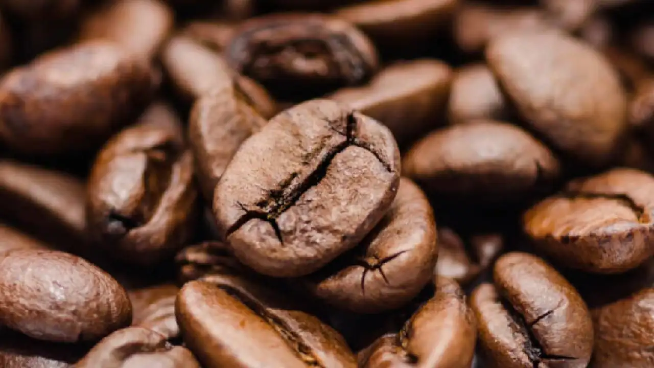 coffee party-cafe-granos-cafeteros-medellin