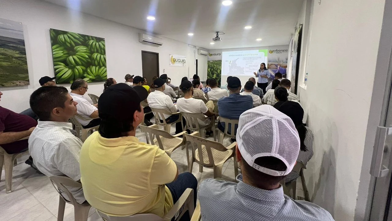 creacion-empresas-region-uraba-sector-comercio-autos1