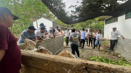 creacion-empresas-region-uraba-sector-comercio-autos2