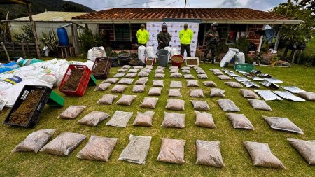 desmantelan-complejo-marihuana-sanpedrolosmilagros-clangolfo-ejercito
