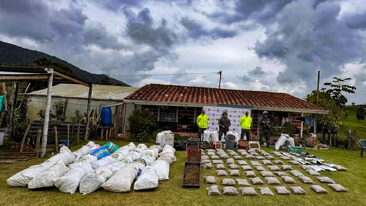 Ejército desmanteló invernadero ilegal en San Pedro de los Milagros: producía 800 kilos de marihuana al mes 4 desmantelan-complejo-marihuana-sanpedrolosmilagros-clangolfo-ejercito1