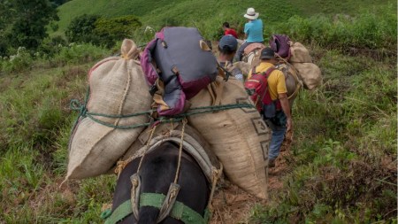 Medellín recibió más de 6.300 desplazados del departamento en 2024: las cifras en 2025 siguen en aumento desplazamiento-forzado-antioquia-choco-llega-medellin1