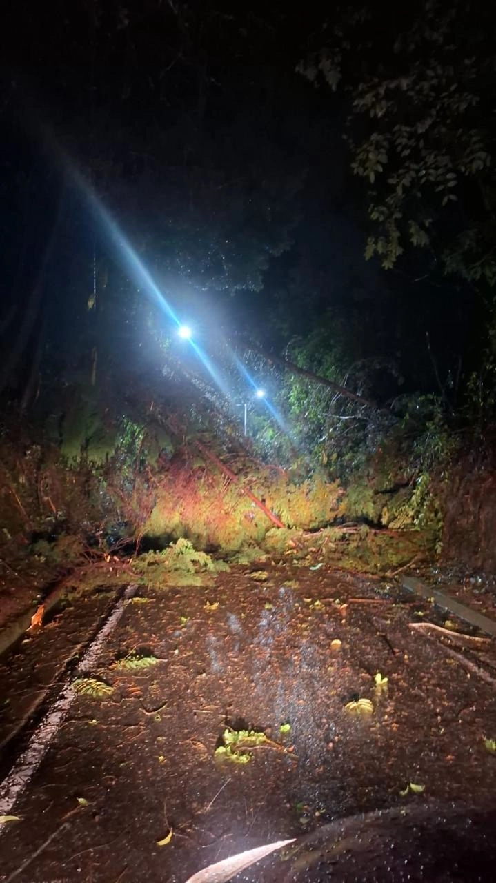 Así se ve el derrumbe en El Escobero - foto cortesía Alcaldía de Envigado