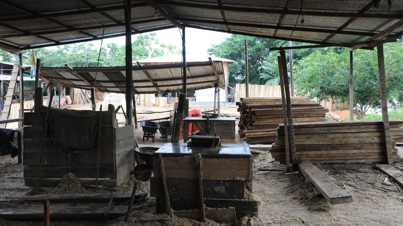 golpe-deforestacion-ilegal-nariño-putumayo-red-afectaba-parquesnacionales