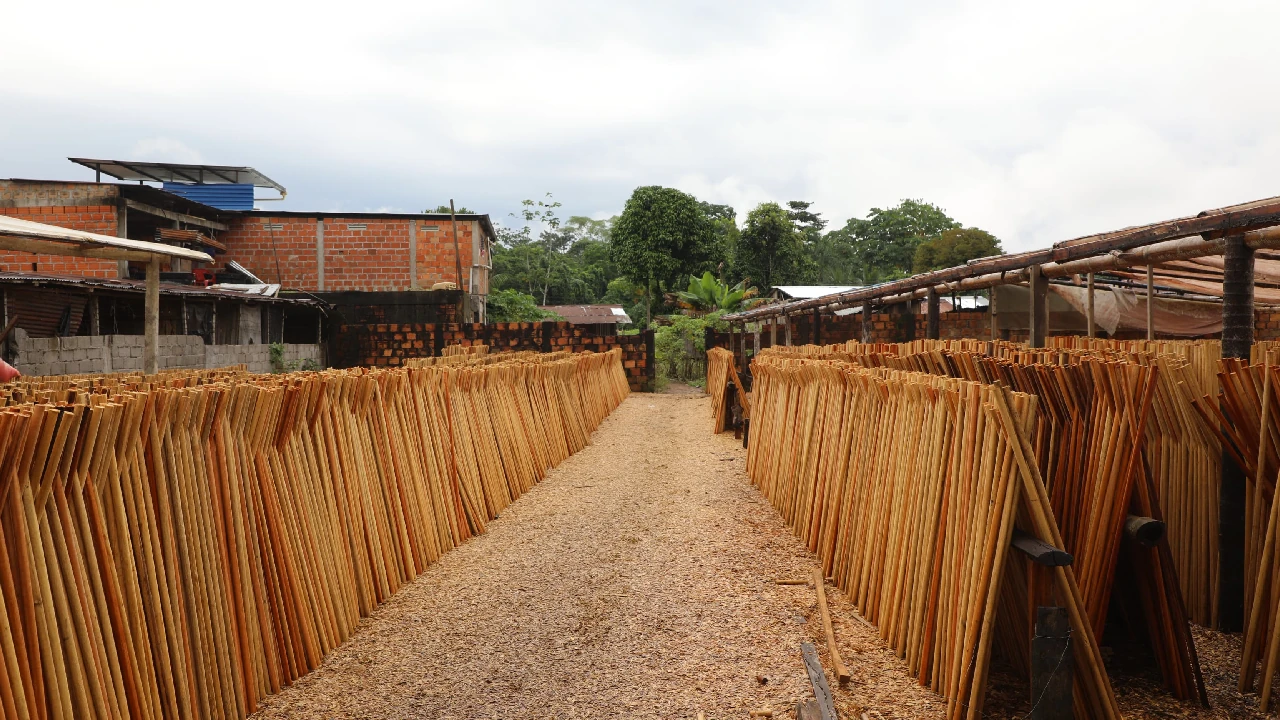 golpe-deforestacion-ilegal-nariño-putumayo-red-afectaba-parquesnacionales1