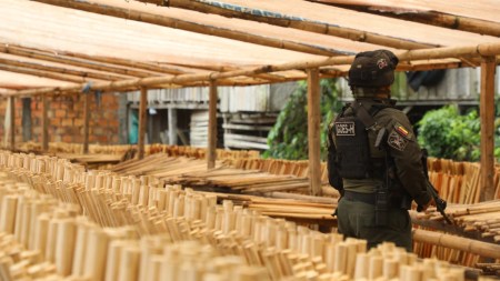 Operación -golpe-deforestacion-madera-ilegal-nariño-putumayo-red-afectaba-parques-nacionales