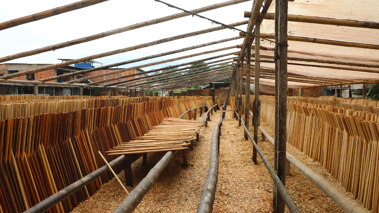 golpe-deforestacion-ilegal-nariño-putumayo-red-afectaba-parquesnacionales3