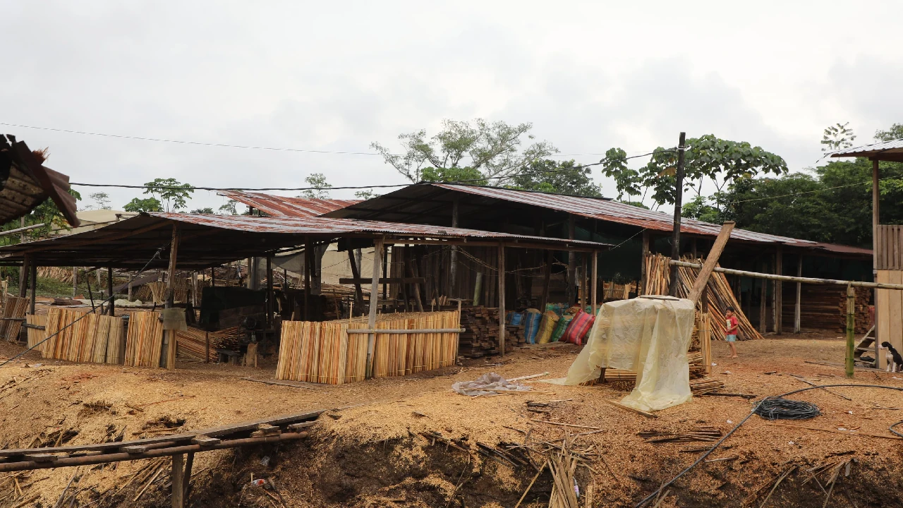 golpe-deforestacion-ilegal-nariño-putumayo-red-afectaba-parquesnacionales4
