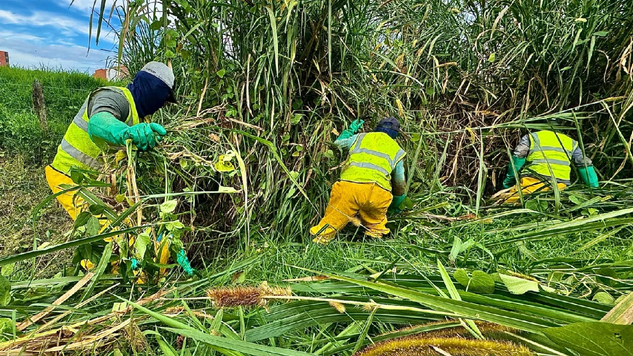 la-ceja-previene-emergencias-temporada-lluvias-recoleccion-residuos