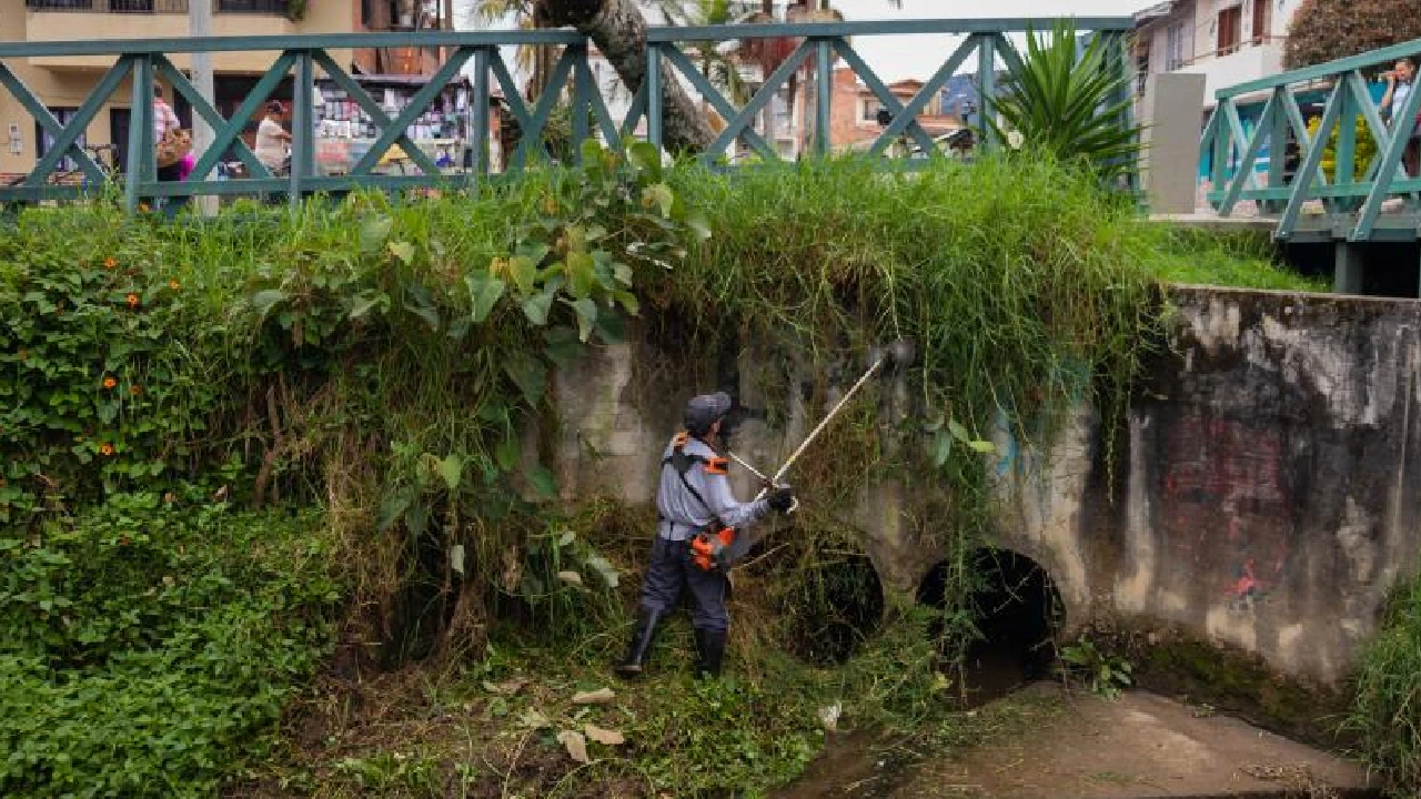 la-ceja-previene-emergencias-temporada-lluvias-recoleccion-residuos4