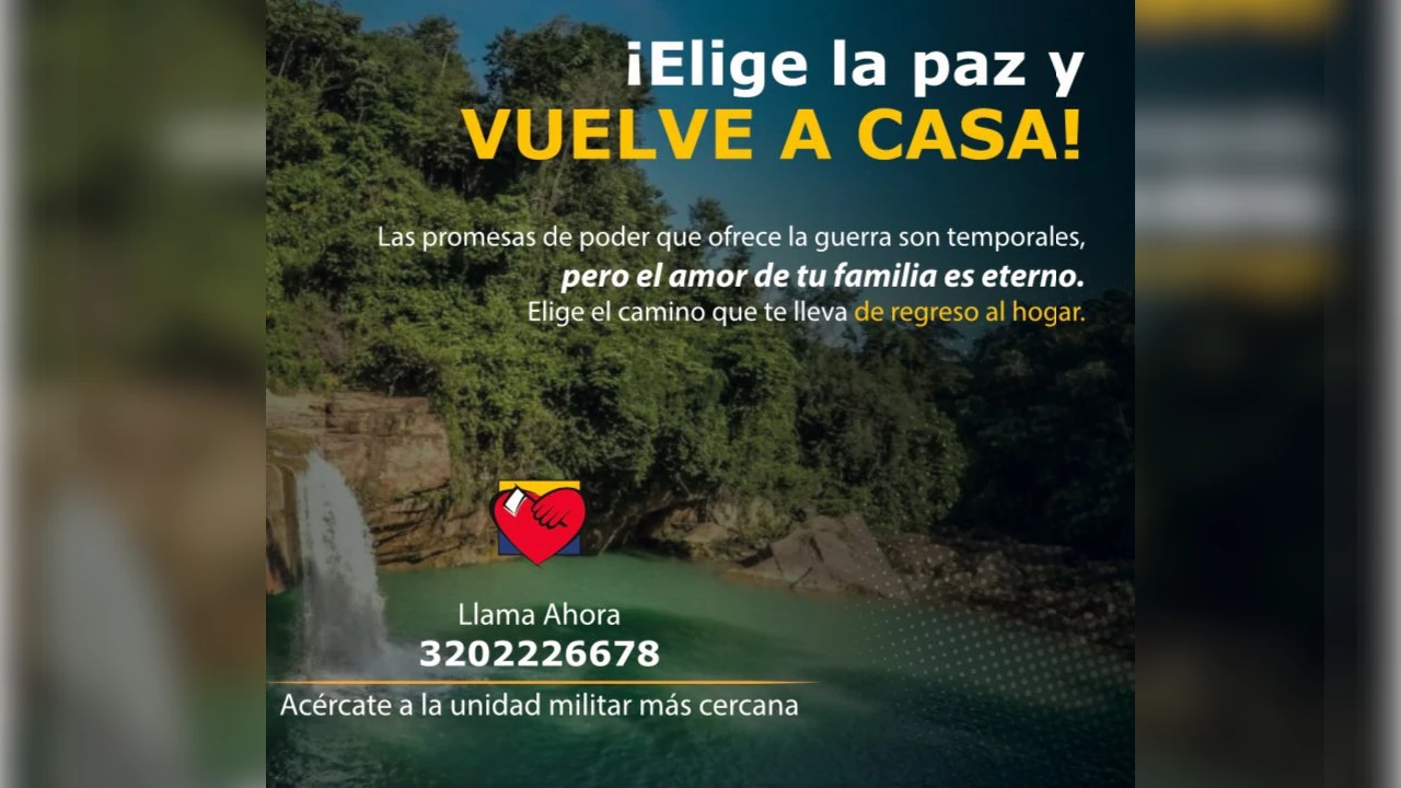 Un niño que fue reclutado por las Farc a los 10 años, abandonó las armas y se entregó a las autoridades de Nariño 2 menor-reclutado-farc-se-entrego-autoridades-nariño-colombia1