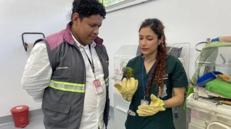 El Metro en convenio con Hospital Veterinario de la Universidad de Antioquia han atendido tres especies que habitan en el corredor del proyecto del Metro de la 80