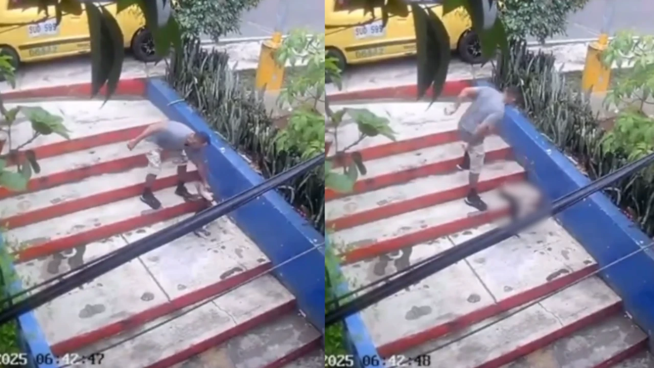 ¡Indignante! un taxista abandonó una perrita malherida en un parque de Bucaramanga