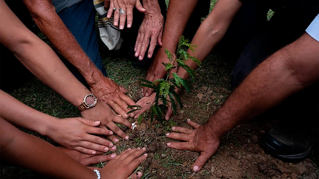Vida silvestre en peligro: Colombia se une para frenar el tráfico ilegal en Semana Santa 6 proteccion-fauna-silvestre-ministerio-ambiente-semana-santa1