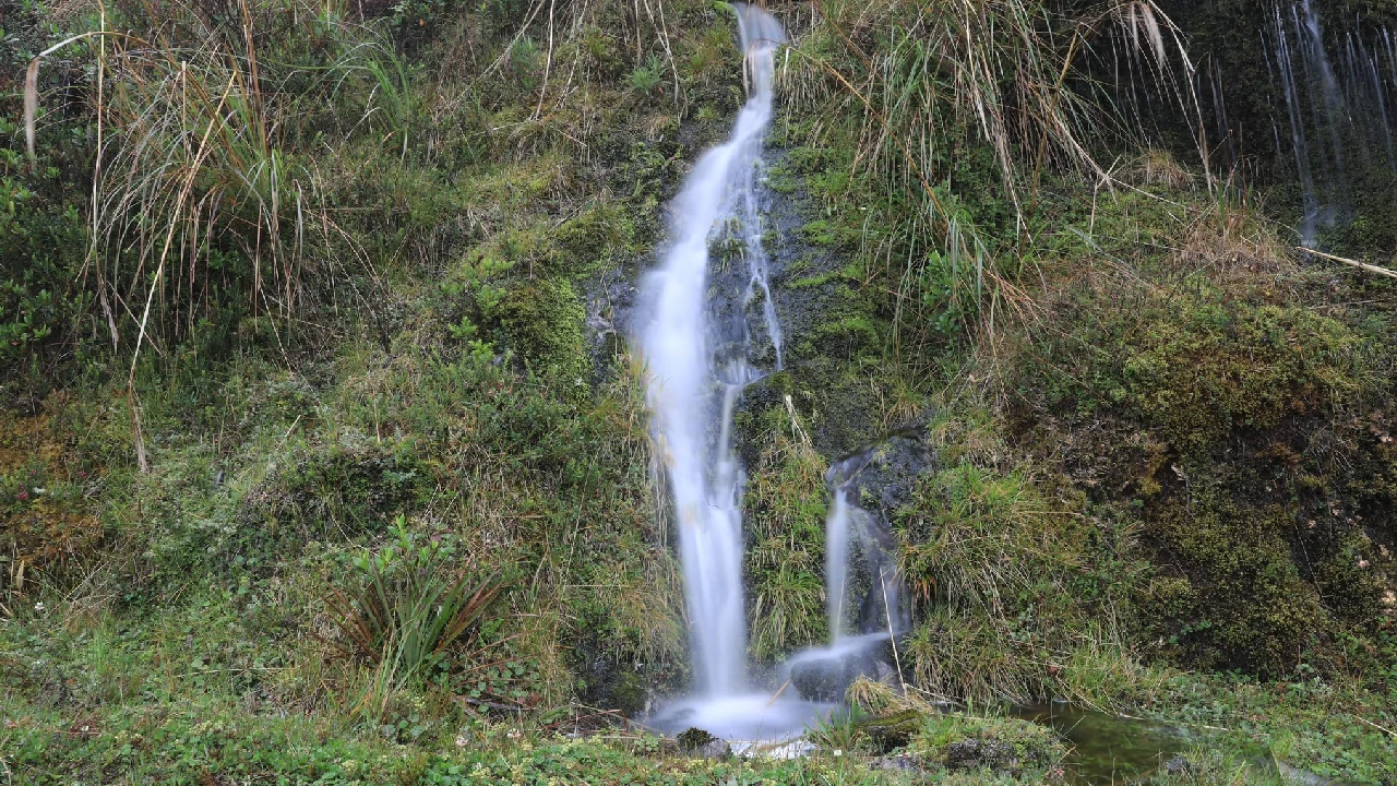 proteccion-fauna-silvestre-ministerio-ambiente-semana-santa5