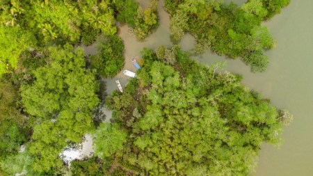 proteccion-fauna-silvestre-ministerio-ambiente-semana-santa6
