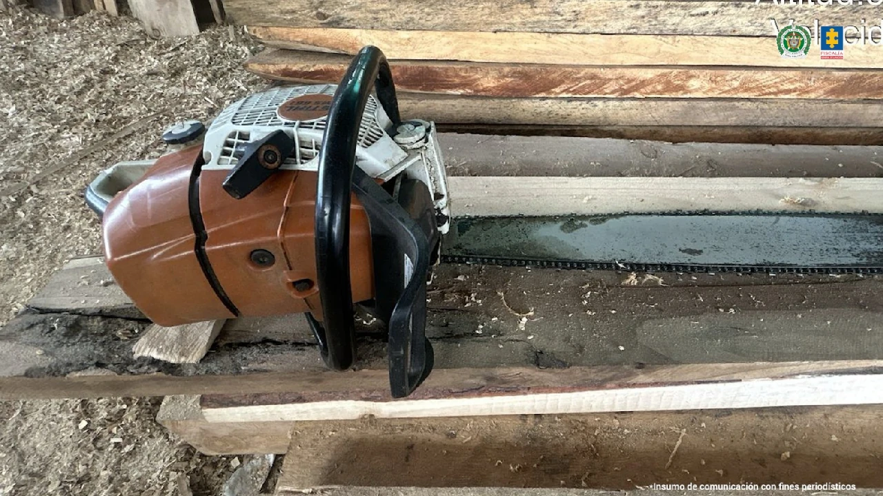 red-deforestacion-amazonia-madera-ilegal-enviada-medellin1