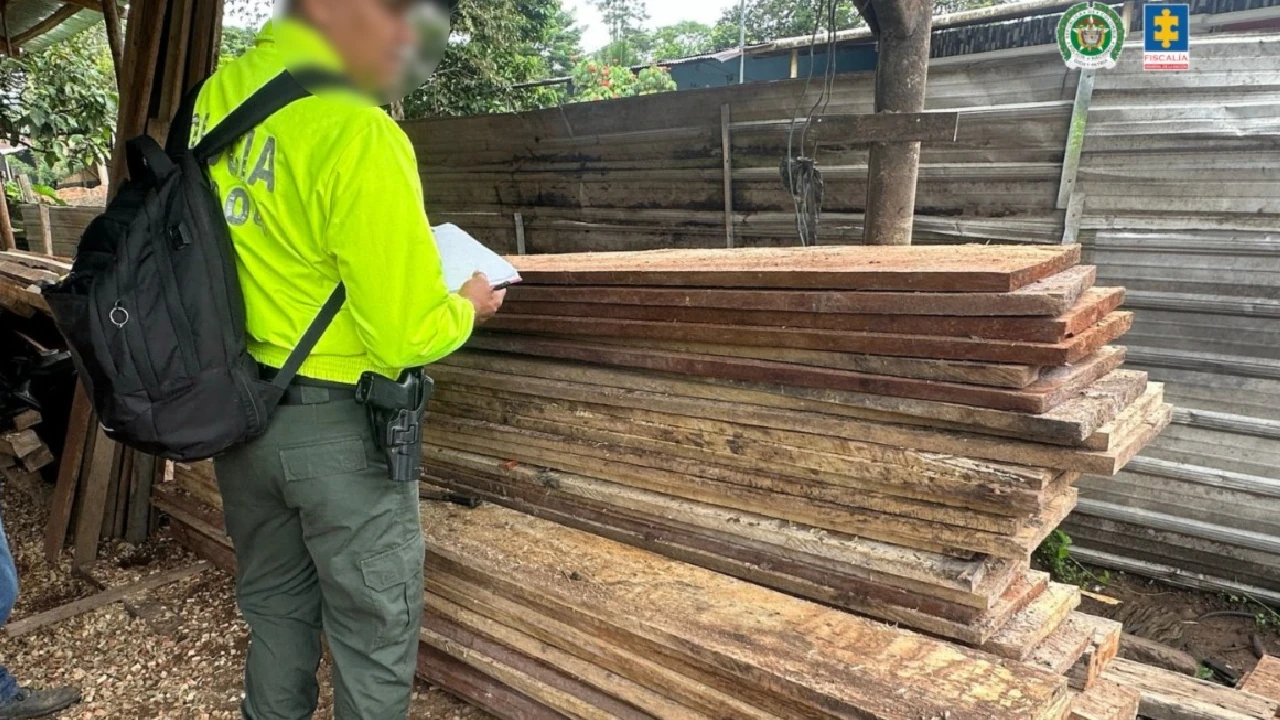 red-deforestacion-amazonia-madera-ilegal-enviada-medellin3