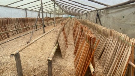 red-deforestacion-amazonia-madera-ilegal-enviada-medellin4