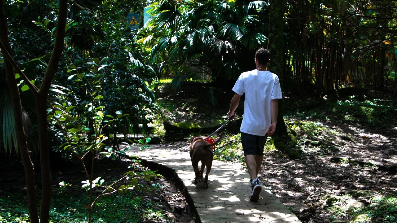 semana-santa-amigable-medio-ambiente-animales-medellin