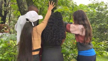 semana santa-amigable-medio-ambiente-animales-medellin1