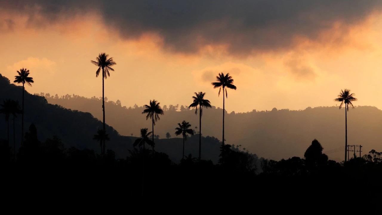 semana-santa-amigable-medio-ambiente-animales-medellin3