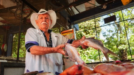 semana -santa-mayor-consumo-pescado-colombia1