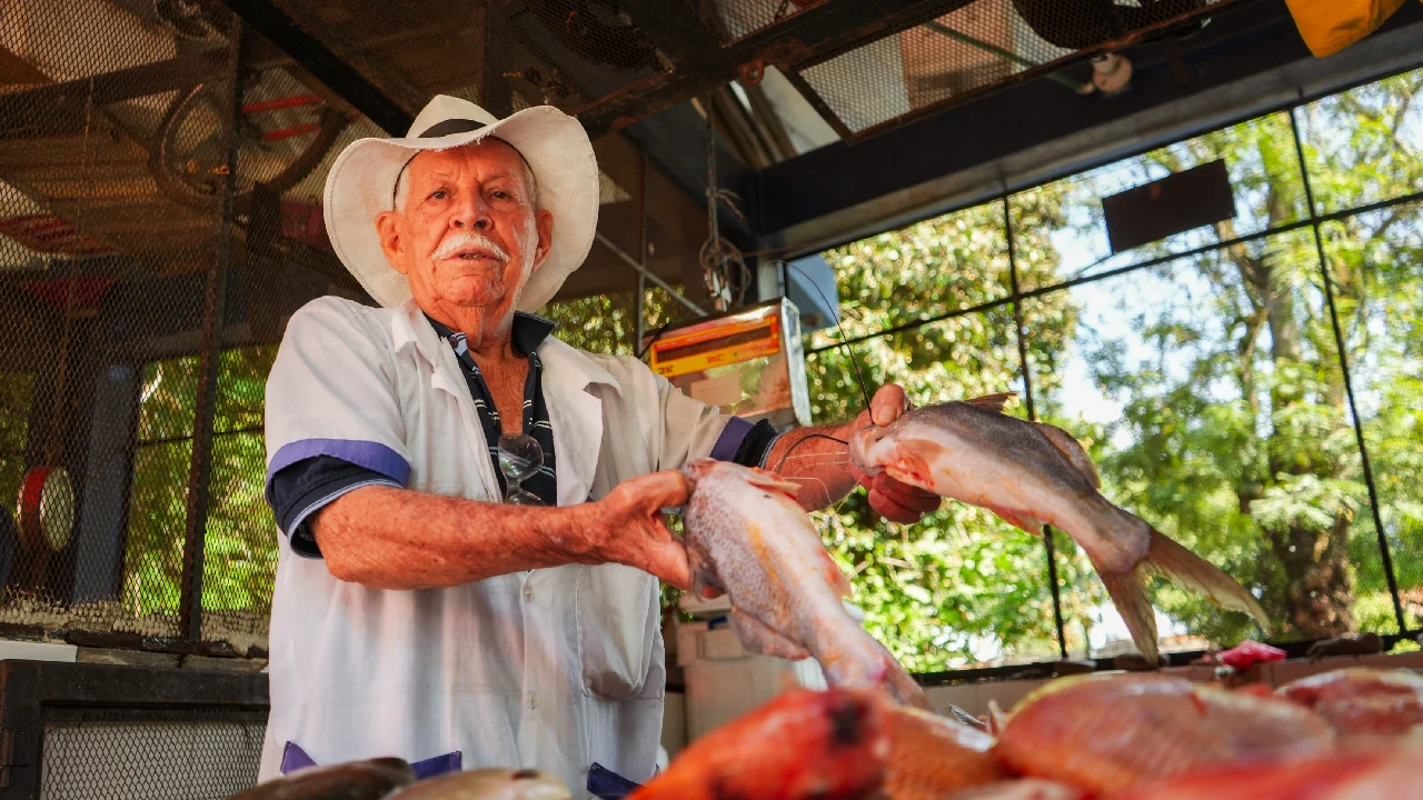 semana -santa-mayor-consumo-pescado-colombia1