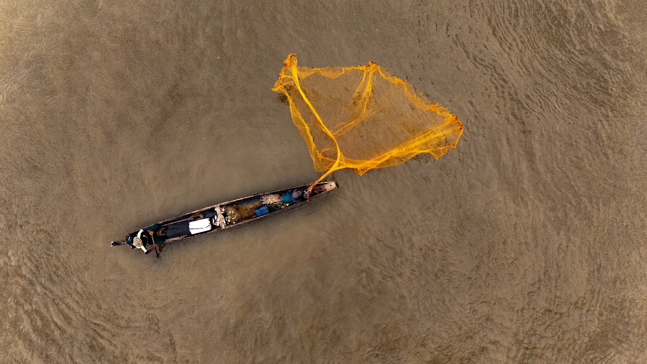 semana -santa-mayor-consumo-pescado-colombia4