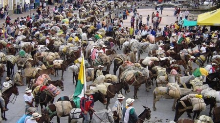 sonson-fiesta-tradicional-mulas-arrieros-patrimonio-antioqueño