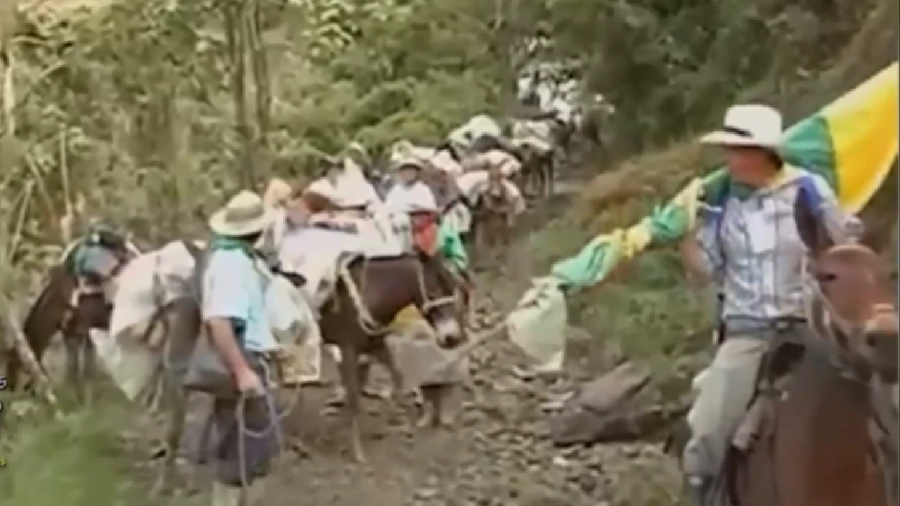 sonson-fiesta-tradicional-mulas-arrieros-patrimonio-antioqueño2