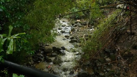 Alcaldía de Medellín avanza en la creación de un sendero ecológico en La Presidenta Alcaldía de Medellín avanza en la creación de un sendero ecológico en La Presidenta