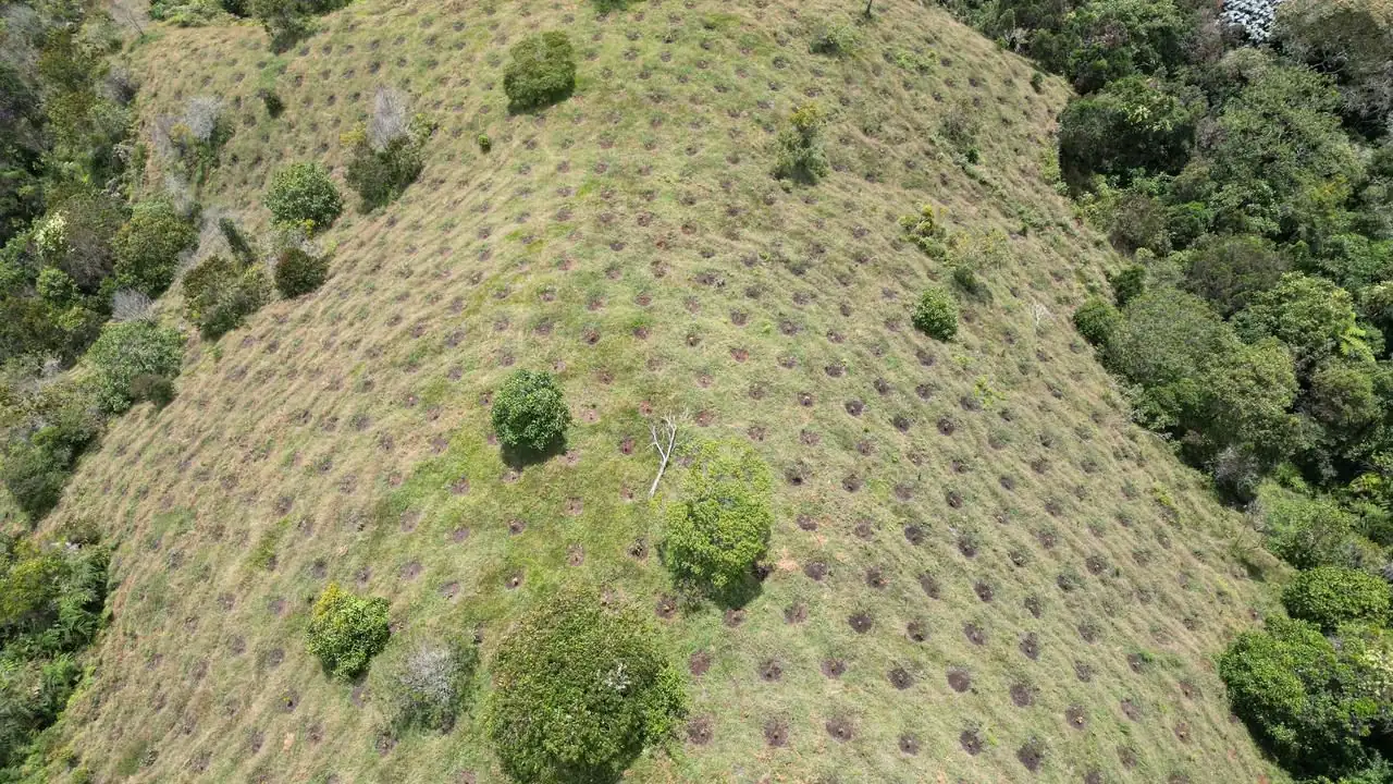 Buscan predios en Antioquia para reforestación y protección de fuentes hídricas