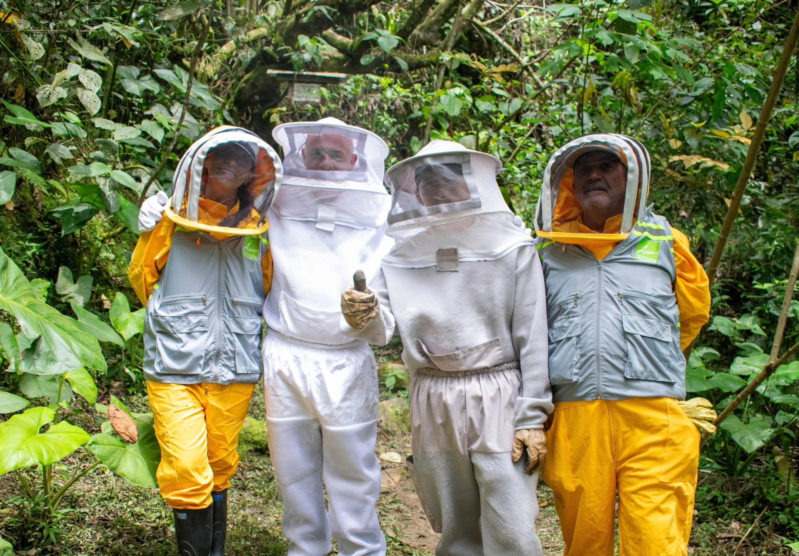 Abejas 2 scaled