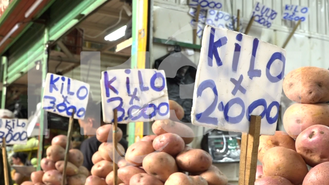 Alimentos 2