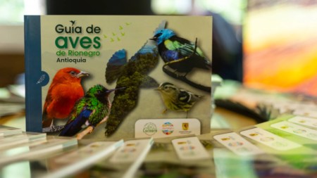 Cornare y Rionegro lanzan Guía de Aves para promover el conocimiento de la biodiversidad local Guía de Aves-rionegro