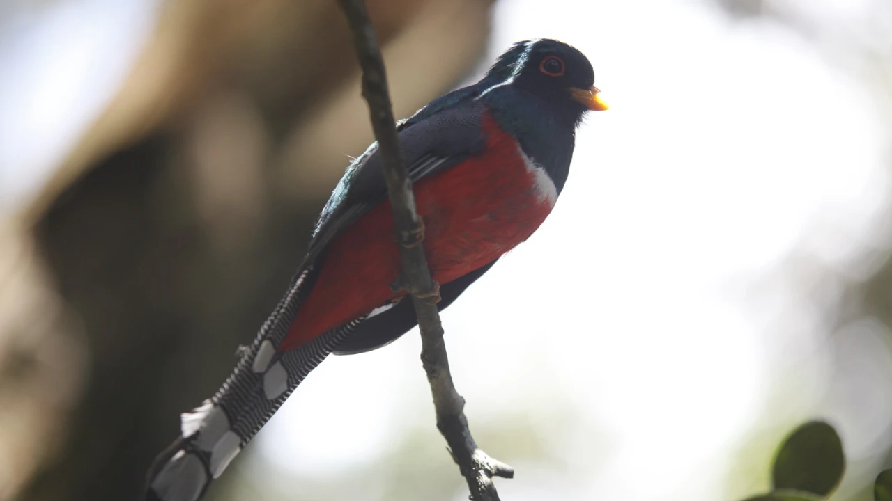 Biodiversidad Parque arvi2