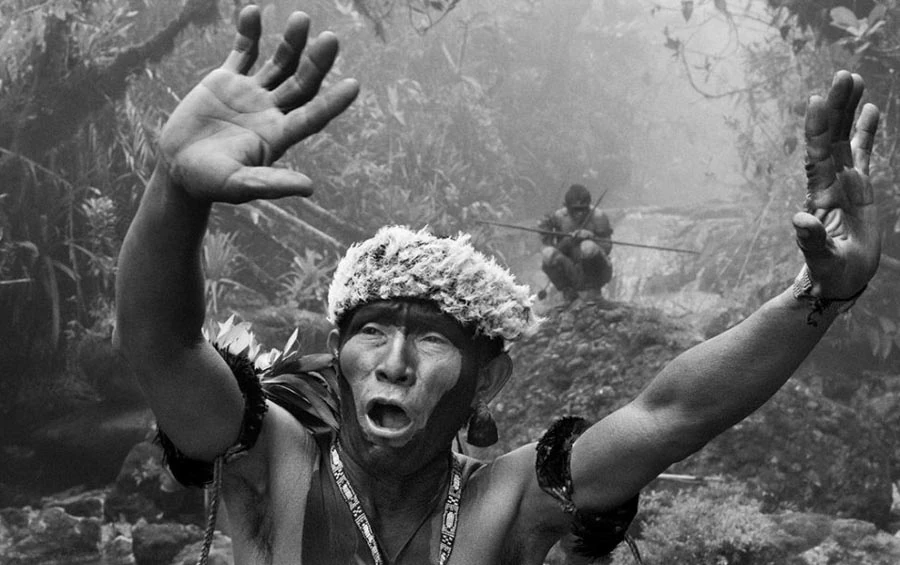 Fotografía