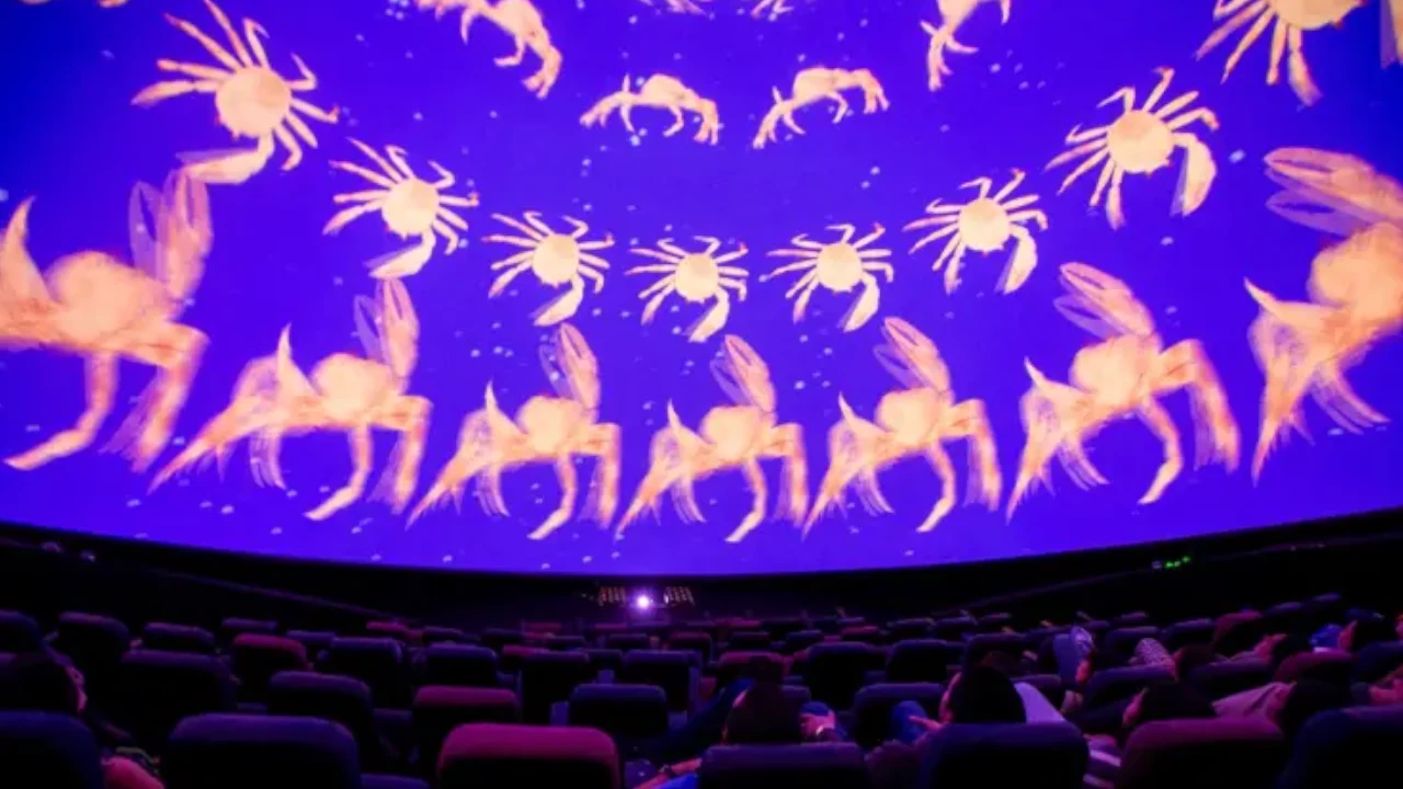 El show “Animales Celestes” del Planetario y Parque Explora, gana premio internacional El show “Animales Celestes” del Planetario y Parque Explora, gana premio internacional