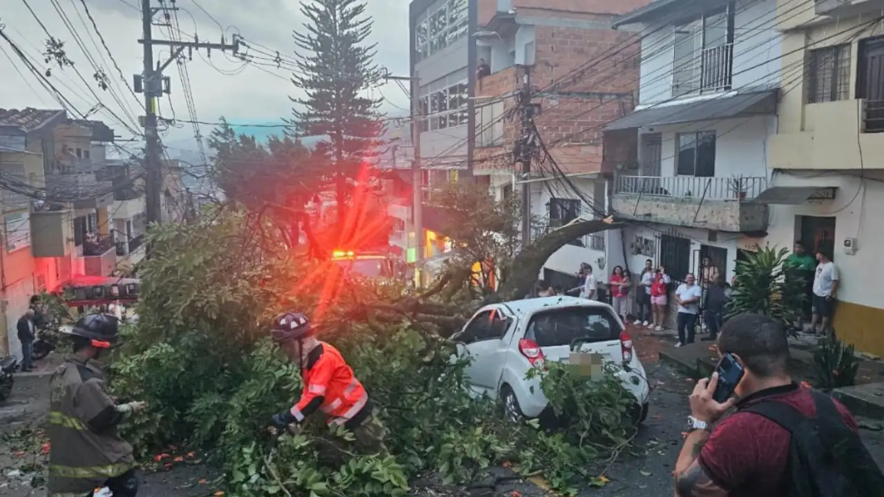 ¡Qué susto! Árbol cayó sobre un vehículo en Campo Valdés